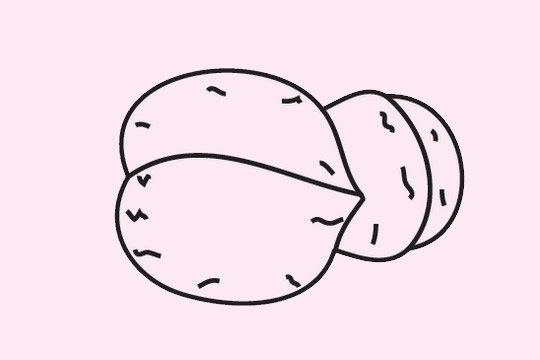 关于核桃的简笔画图片