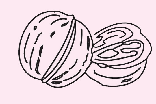 关于核桃的简笔画图片