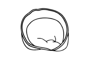 饺子简笔画图片大全