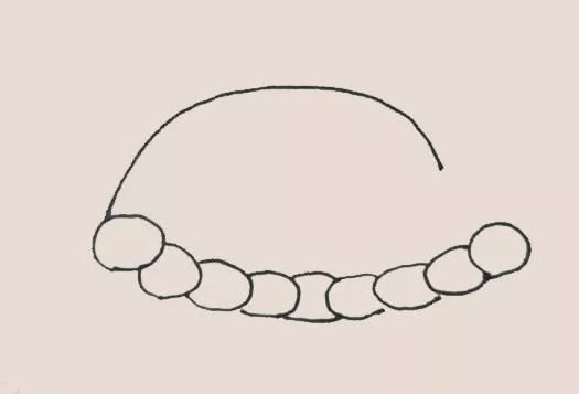 火鸡大餐简笔画步骤 火鸡大餐简笔画步骤