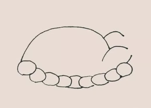 火鸡大餐简笔画步骤 火鸡大餐简笔画步骤