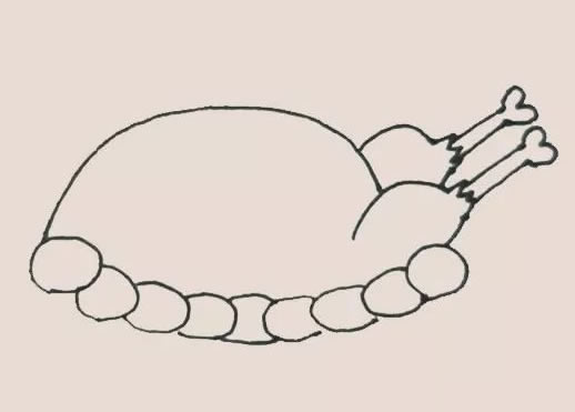 火鸡大餐简笔画步骤 火鸡大餐简笔画步骤