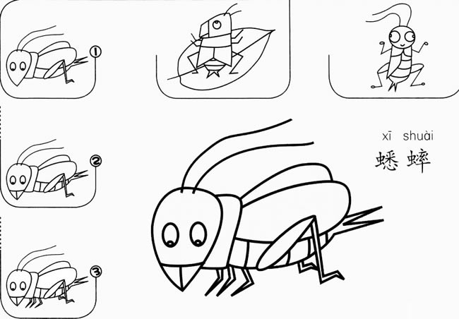 蟋蟀简笔画(蟋蟀笔画)