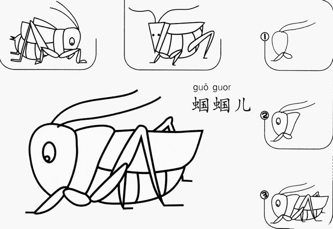 蝈蝈简笔画(蝈蝈简笔画的六步画法)