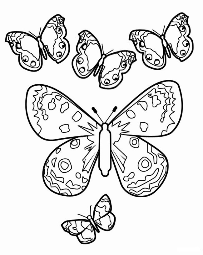 一群飞舞的蝴蝶简笔画(一群蝴蝶飞动图)