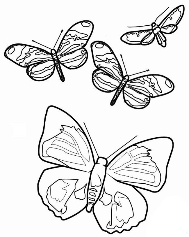 几只蝴蝶的简笔画(5只蝴蝶简笔画)