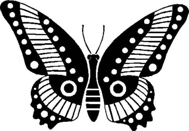 美丽的蝴蝶简笔画(美丽的蝴蝶的画)