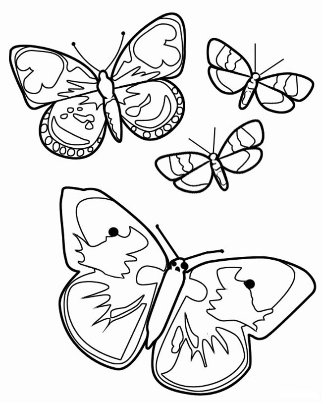 关于蝴蝶的简笔画(关于蝴蝶的简笔画图片大全)