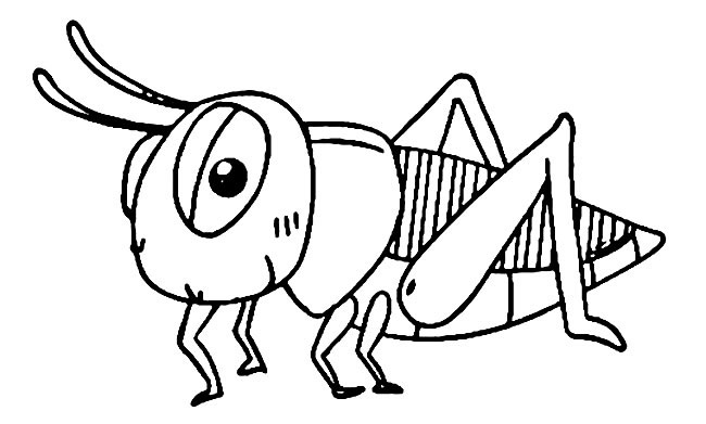 蚂蚱简笔画(蚂蚱简笔画怎么画)