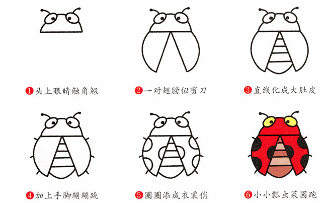 七星瓢虫简笔画步骤(七星瓢虫简笔画彩色 可爱)
