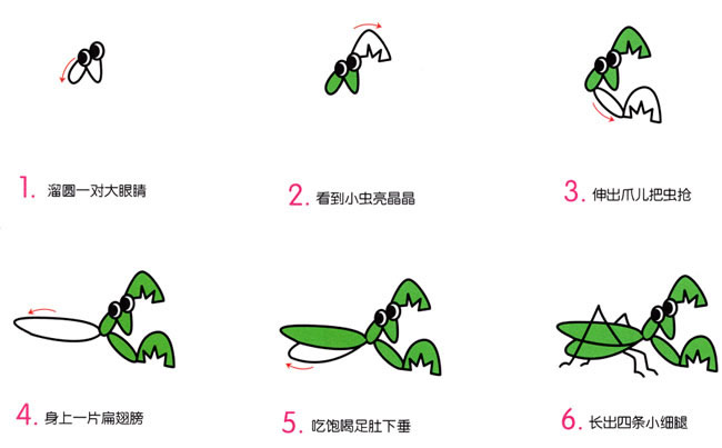 螳螂简笔画步骤(螳螂简笔怎么画)