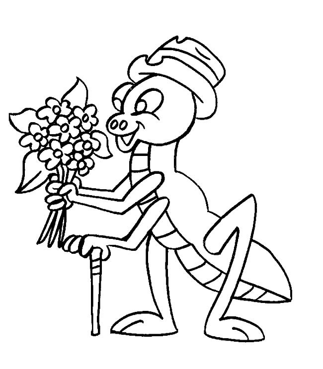 蚂蚱先生简笔画(蚂蚱简笔画简笔画)