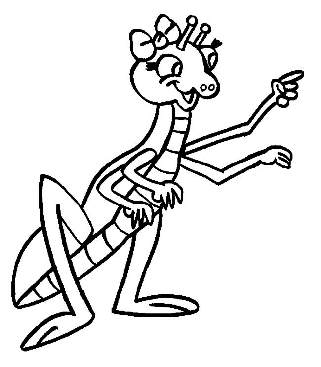 螳螂小姐简笔画(螳螂简笔画简单好看)