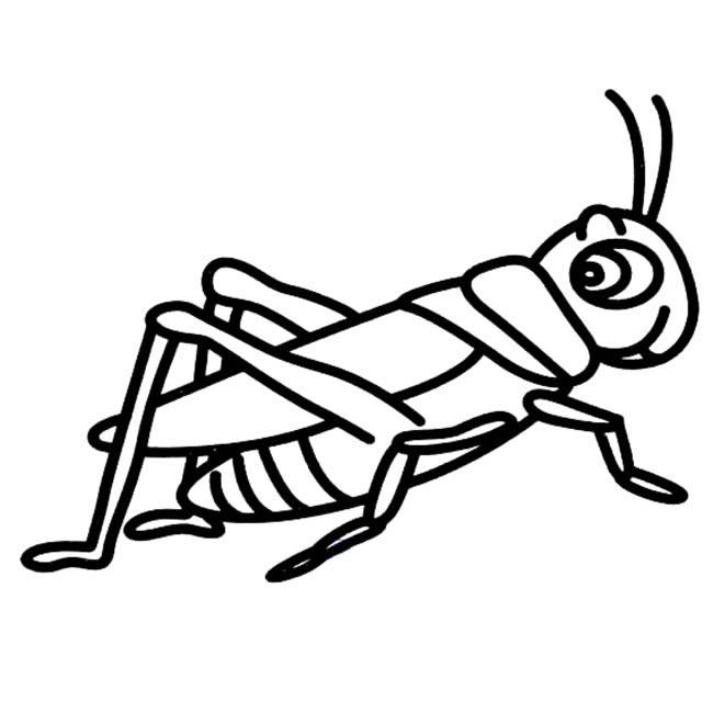蝗虫简笔画(蝗虫简笔画可爱)