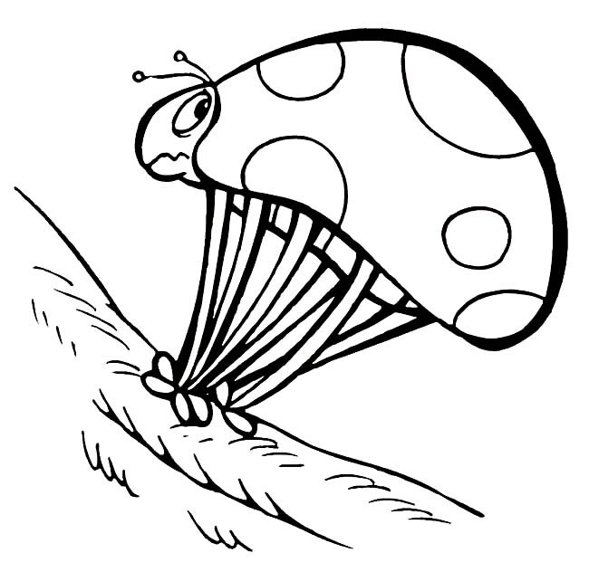 一只七星瓢虫简笔画(一只七星瓢虫简笔图片)