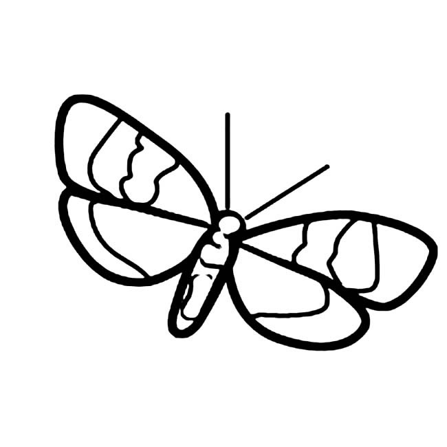 飞蛾简笔画(飞蛾简笔画)