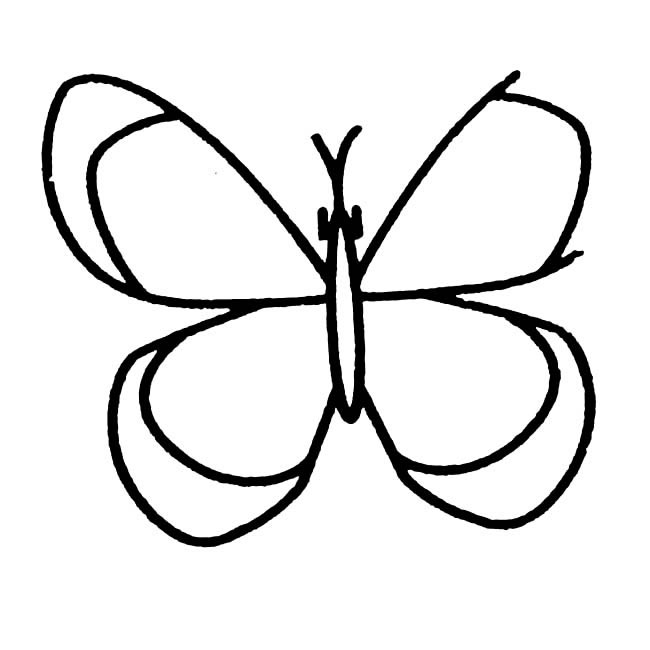 简简单单的蝴蝶儿童画(简单的蝴蝶图画)
