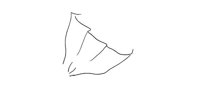 一步步教你学画一束花的简笔画