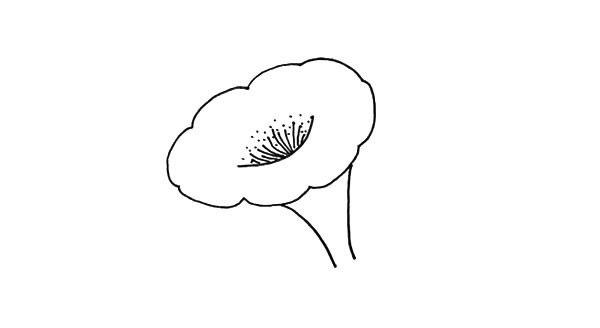 带颜色的喇叭花怎么画？