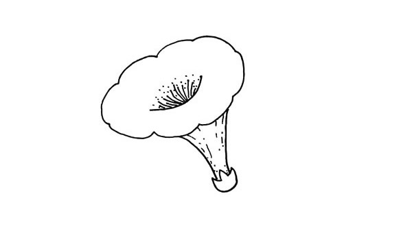 带颜色的喇叭花怎么画？