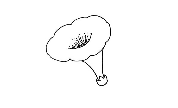 带颜色的喇叭花怎么画？