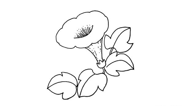 带颜色的喇叭花怎么画？