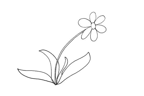 一步步教你画太阳花简笔画