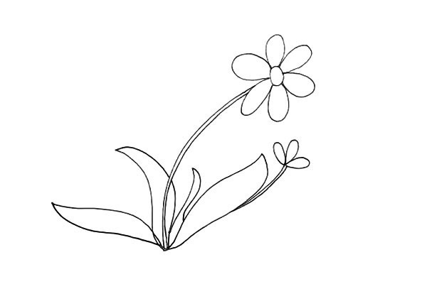 一步步教你画太阳花简笔画