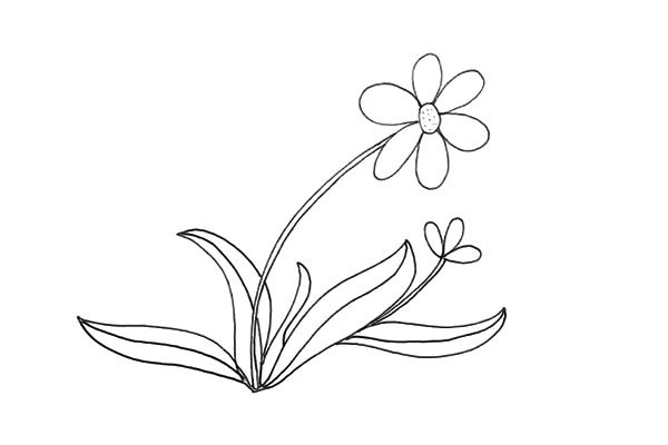 一步步教你画太阳花简笔画