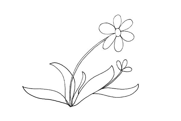 一步步教你画太阳花简笔画