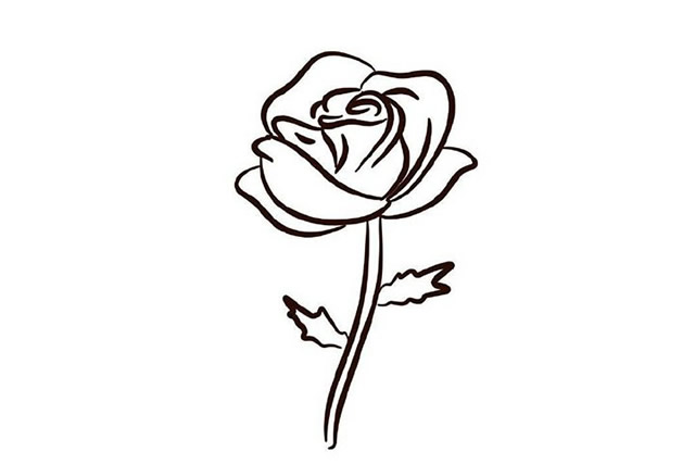带颜色的玫瑰花简笔画怎么画？