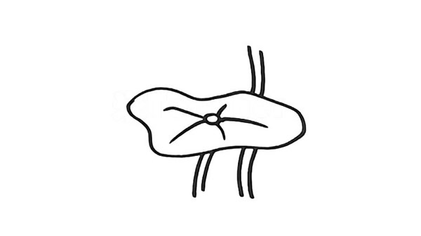 一步步教你画漂亮的荷花