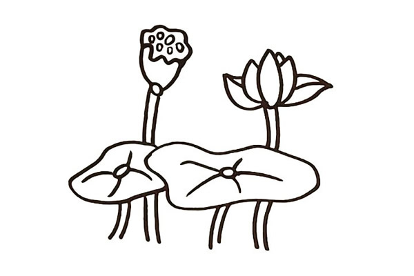 一步步教你画漂亮的荷花