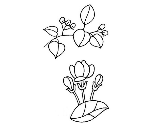 茉莉花简笔画步骤教程 茉莉花简笔画步骤教程