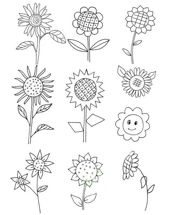 儿童学画向日葵简笔画