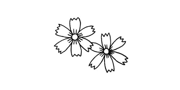 几朵小菊花简笔画教程 几朵小菊花简笔画教程