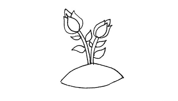 涂色的月季花简笔画步骤 涂色的月季花简笔画步骤