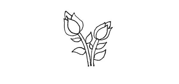 涂色的月季花简笔画步骤 涂色的月季花简笔画步骤