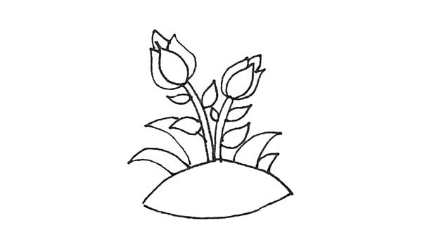 涂色的月季花简笔画步骤 涂色的月季花简笔画步骤