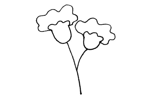 鸡冠花怎么画 涂色的鸡冠花简笔画 鸡冠花怎么画 涂色的鸡冠花简笔画