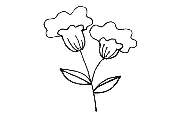 鸡冠花怎么画 涂色的鸡冠花简笔画 鸡冠花怎么画 涂色的鸡冠花简笔画