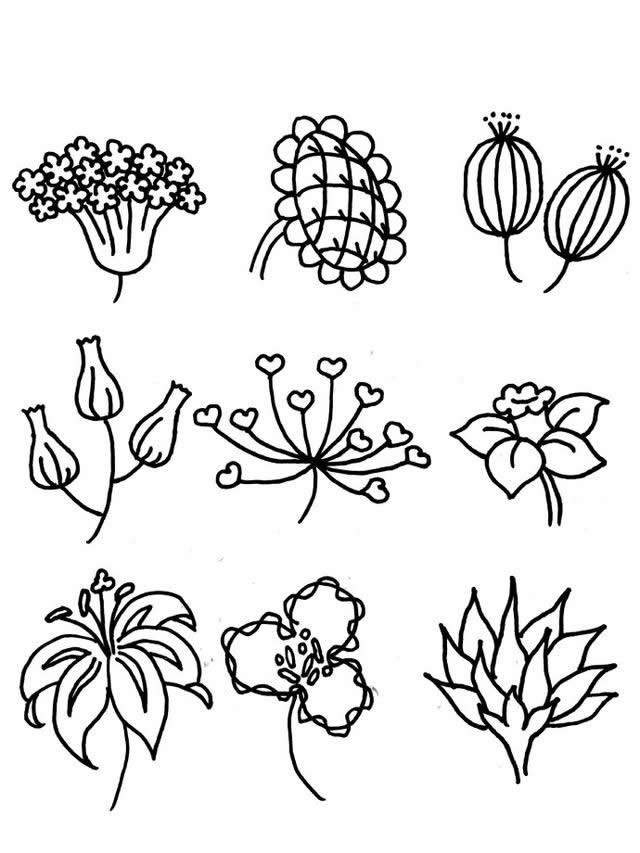 一组小花的简笔画大全(54款) 一组小花的简笔画大全(54款)