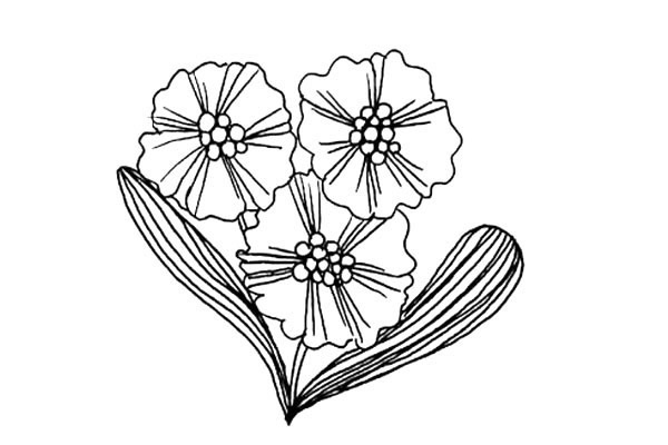 四张漂亮的小野花简笔画