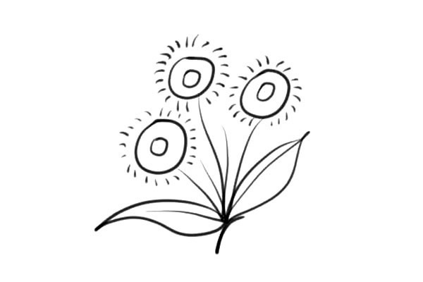 5款各不相同的小花简笔画