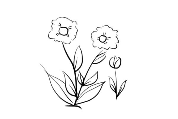 5款各不相同的小花简笔画