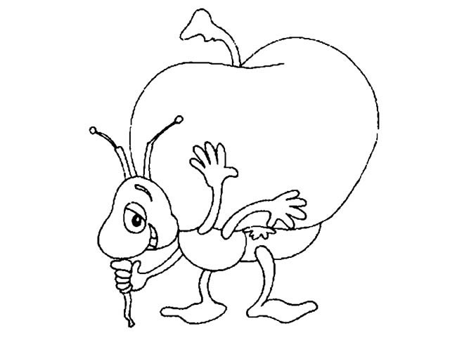 搬运苹果的蚂蚁简笔画(蚂蚁搬苹果的图片欣赏)