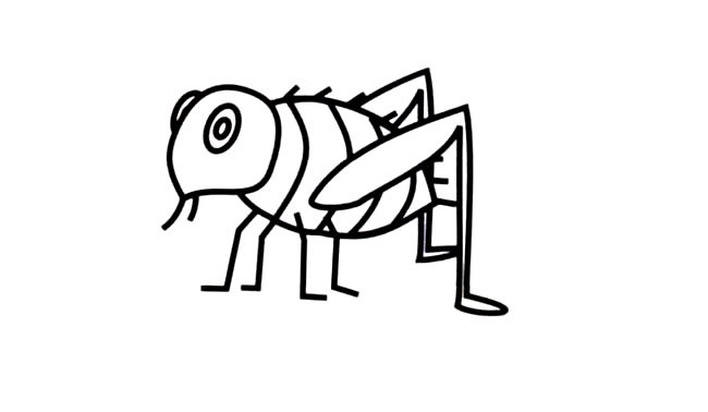 非常简单的跳蚤儿童画(跳蚤怎么用视频教程)