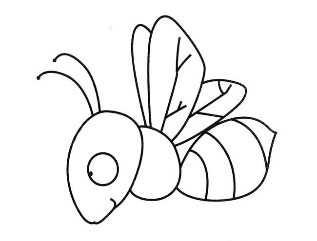 苍蝇简笔画(苍蝇简笔画简单又漂亮)