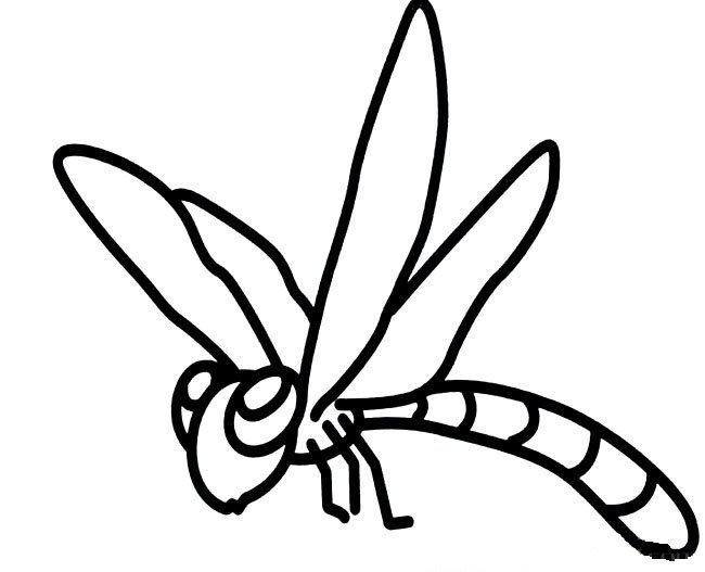 蜻蜓儿童简笔画(蜻蜓儿童简笔画彩色)