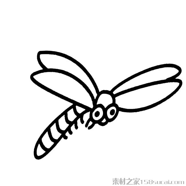 推荐几款蜻蜓的简笔画